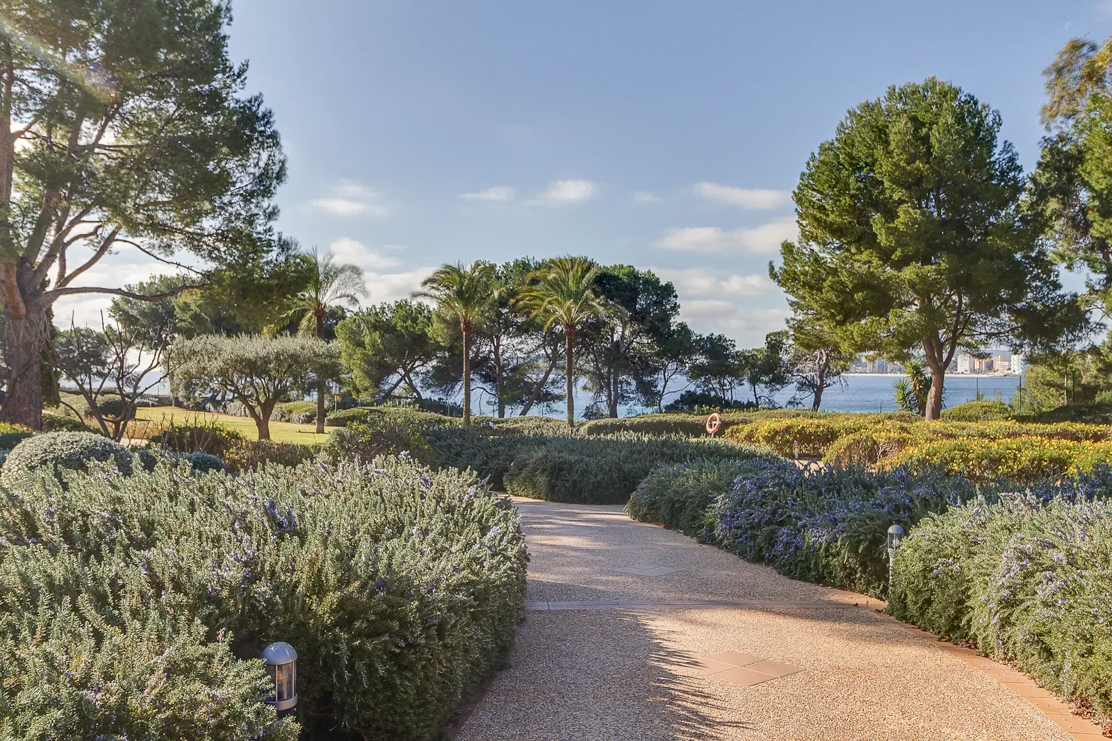 07181 Punta Negra, Illes Balears, Spain, Calvia, Balearic Islands, Spain. - Photo 12