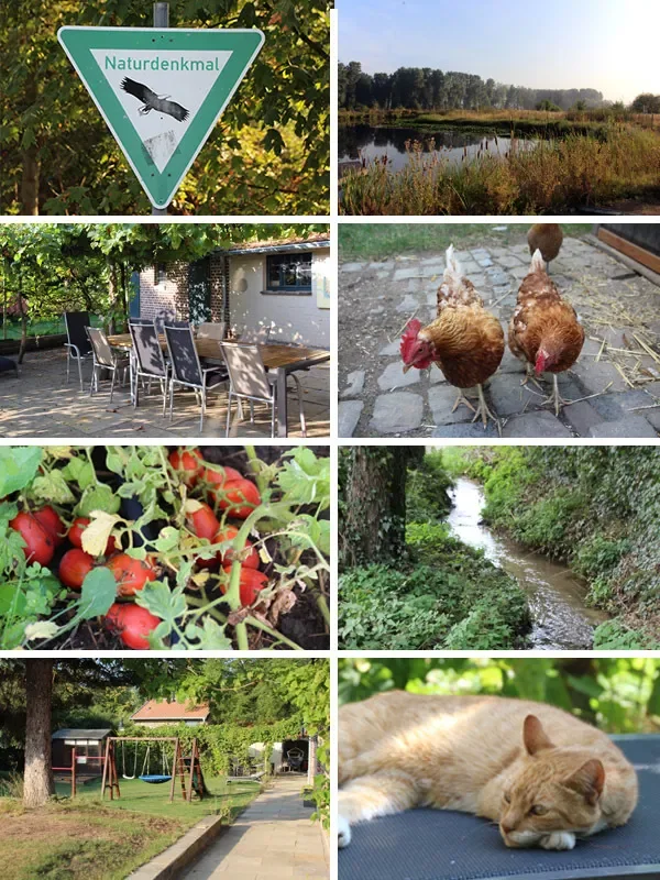 40 Meerbusch, Germany, Meerbusch, Germany. - Photo 16