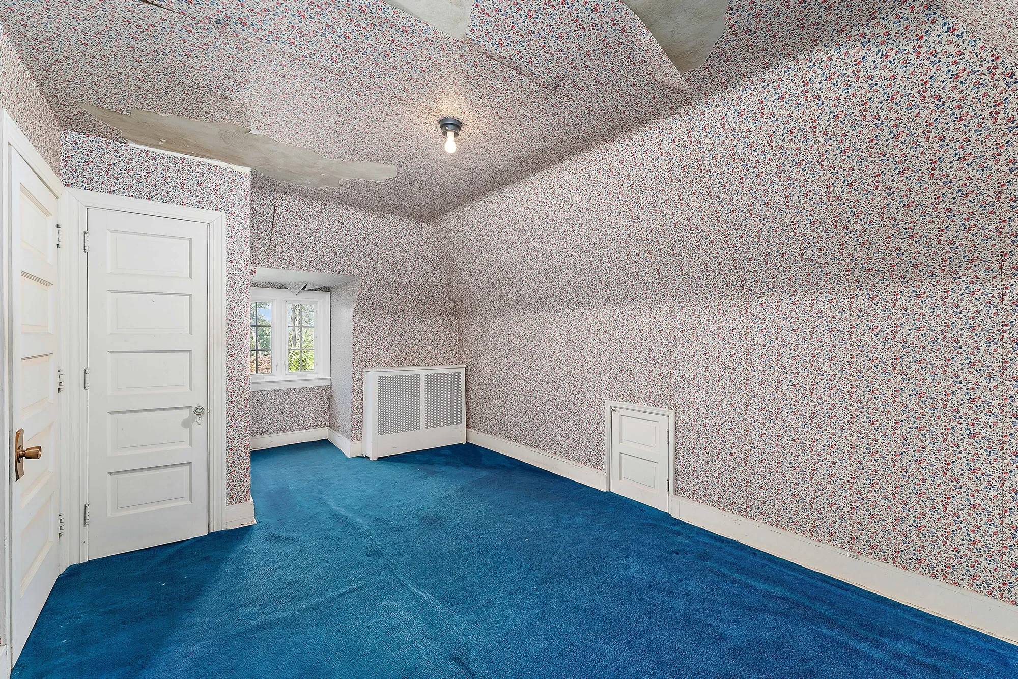 Gallery photo 12