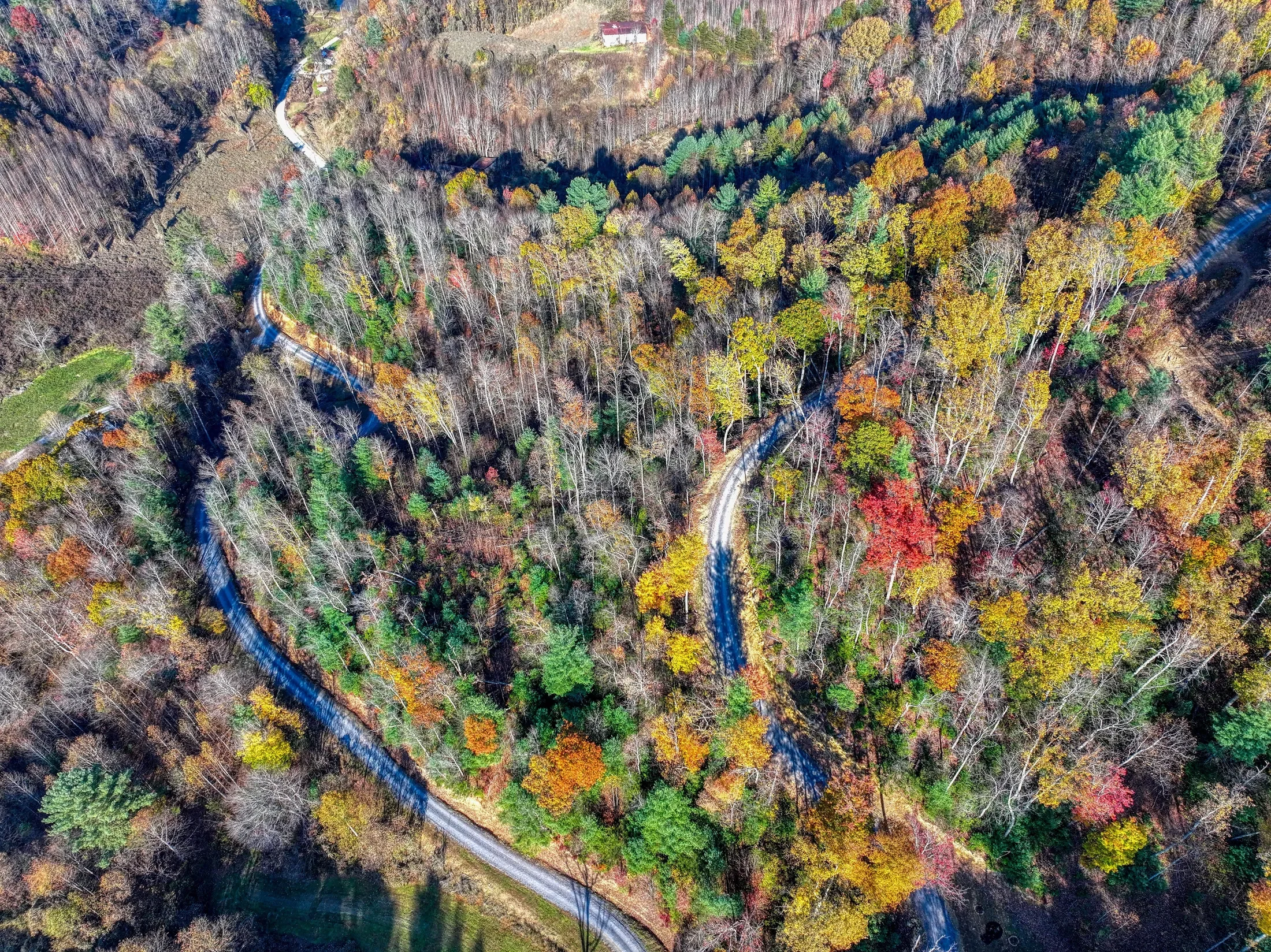 1898 Kennedy Way , Del Rio, TN 37727, Del Rio, Tennessee, United States. - Photo 57
