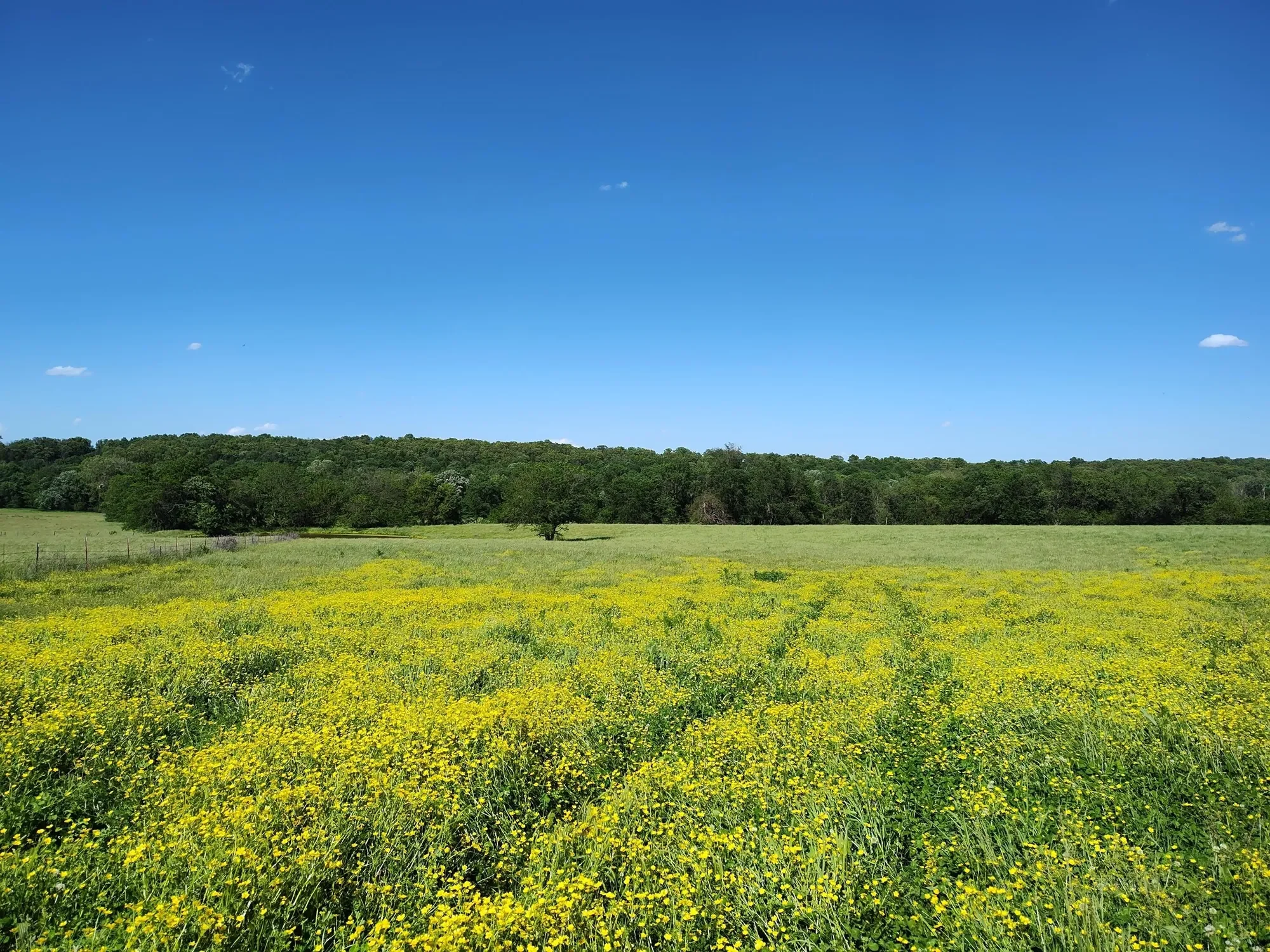 1898 E 332nd Road, Polk, MO 65727, Bolivar, Missouri, United States. - Photo 66