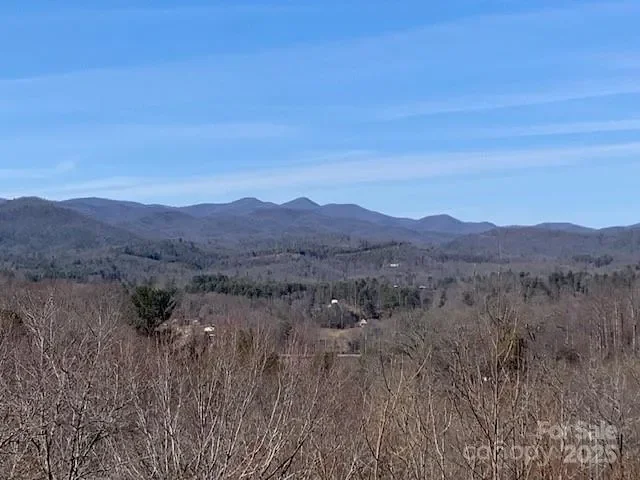 2399 PLEASANT GROVE Road, Hendersonville, NC 28739, Laurel Park, North Carolina, United States. - Photo 34