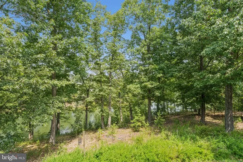 108 BUNTING CT COURT, LAKE FREDERICK, VA 22630, Stephens City, Virginia, United States. - Photo 46