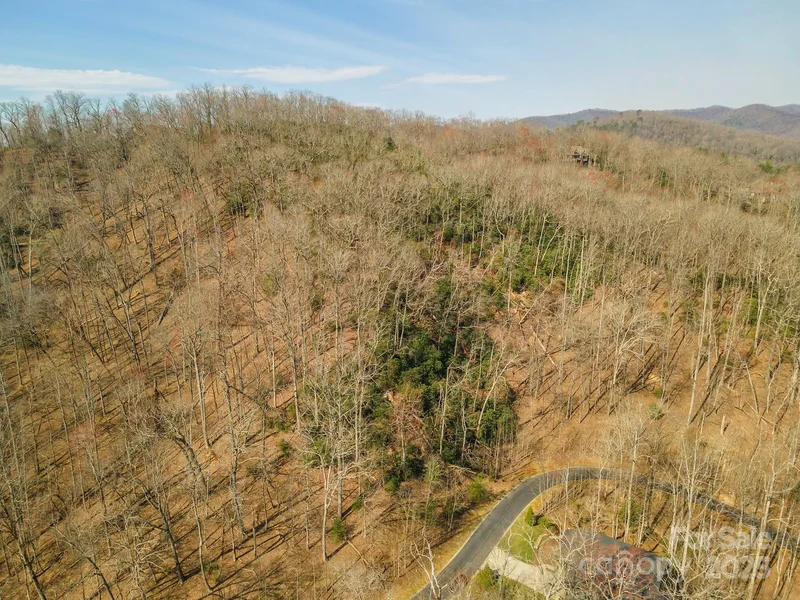0 Shining Rock Path 12, Horse Shoe, North Carolina, United States. - Photo 20