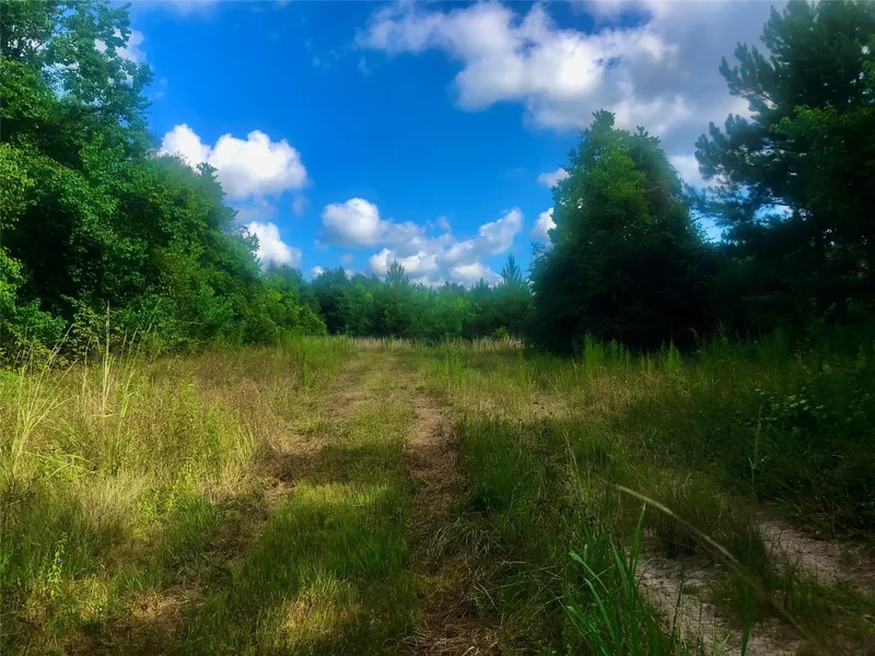 1516 Fm 2518 Road, Cleveland, TX 77327, Cleveland, Texas, United States. - Photo 18
