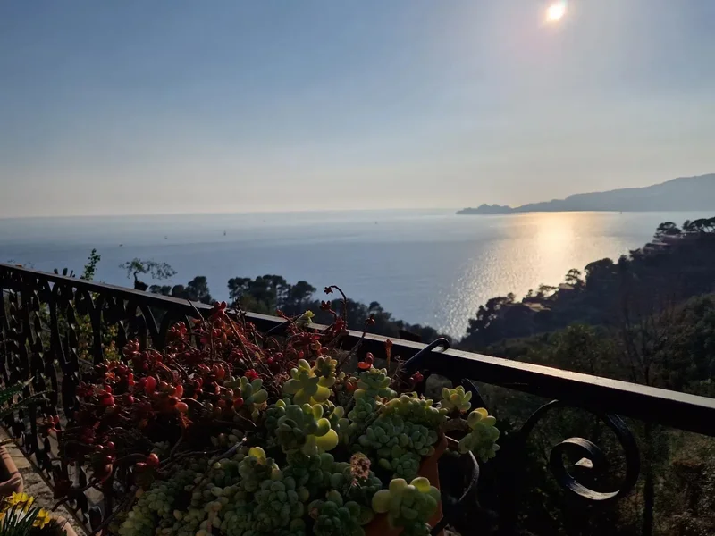 Sant'Andrea di Rovereto, Sant'Andrea di Rovereto, Liguria, Italy. - Photo 32