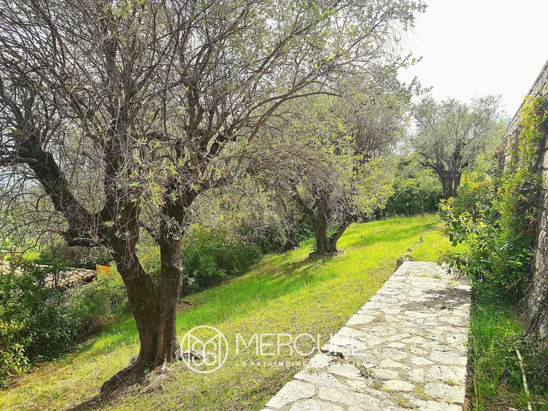 Vence, Provence-Alpes-Côte d'Azur, France. - Photo 5
