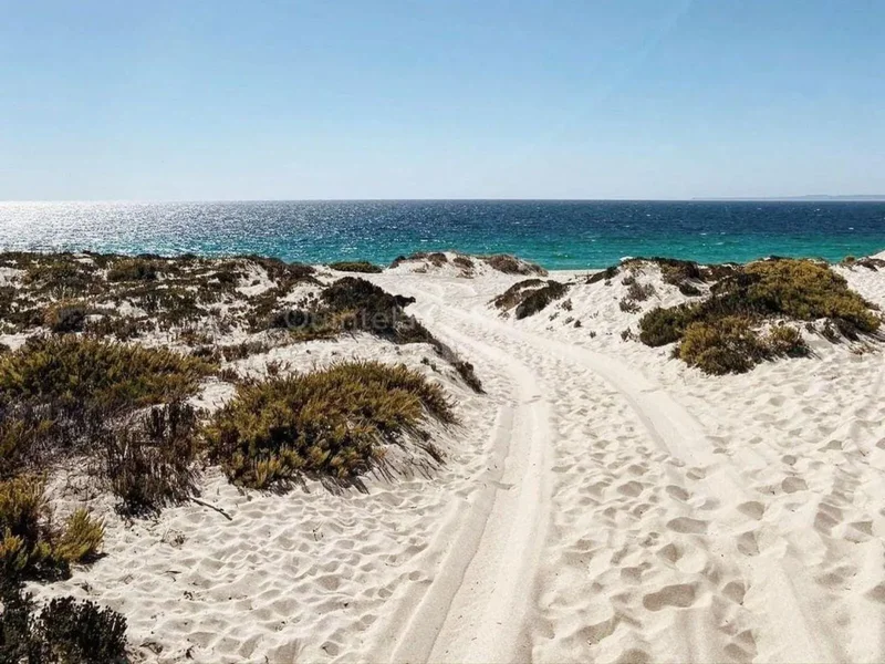 Comporta, Setubal, Portugal. - Photo 19