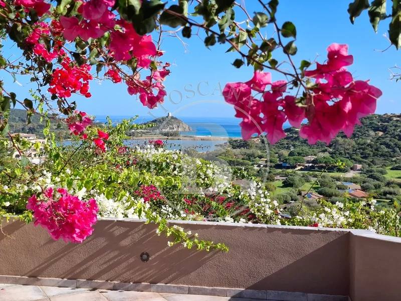 09010 Chia, Province of South Sardinia, Italy, Chia, Sardinia, Italy. - Photo 40