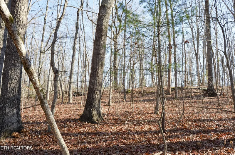 Sparta Hwy 63.3 Acres, Crossville, TN 38555, Crossville, Tennessee, United States. - Photo 47