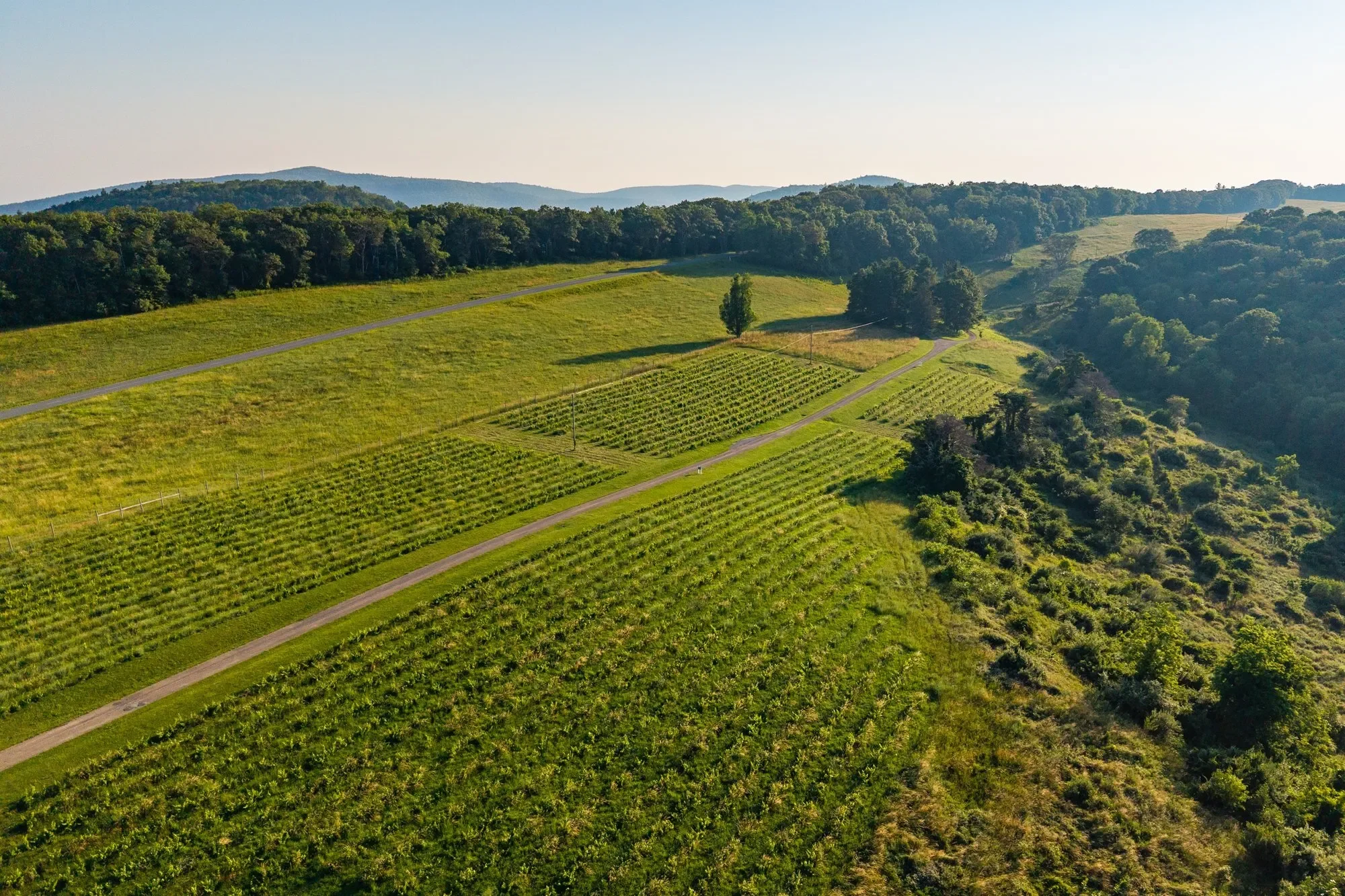 24981 Blue Ridge Parkway, Vesuvius, VA 22032, Vesuvius, Virginia, United States. - Photo 63