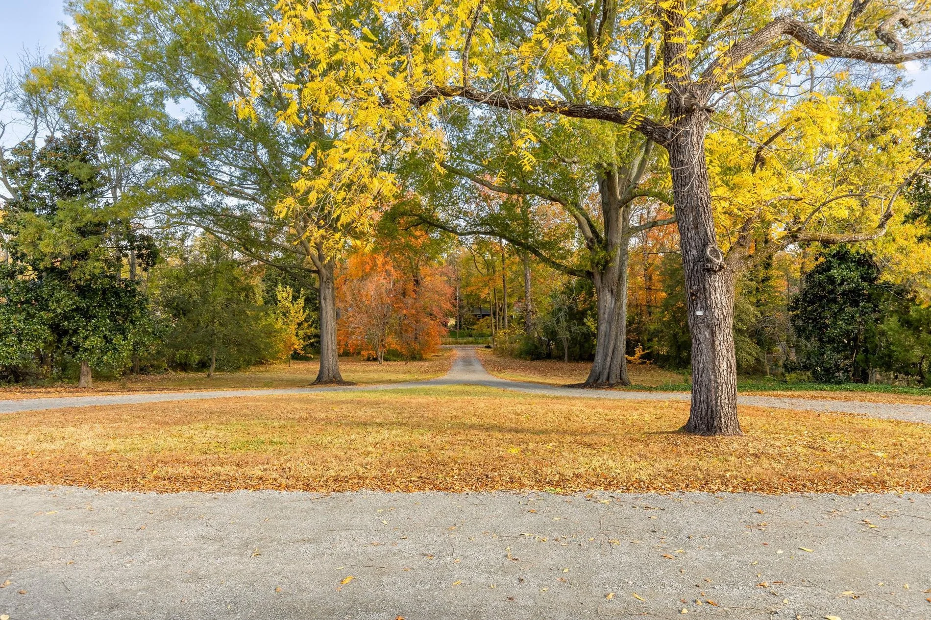 4509 Carlby Lane, Alexandria, VA 22309, Mount Vernon, Virginia, United States. - Photo 44