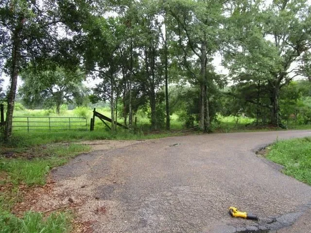 0 FIELDER Lane, Clayton, Georgia, United States. - Photo 6
