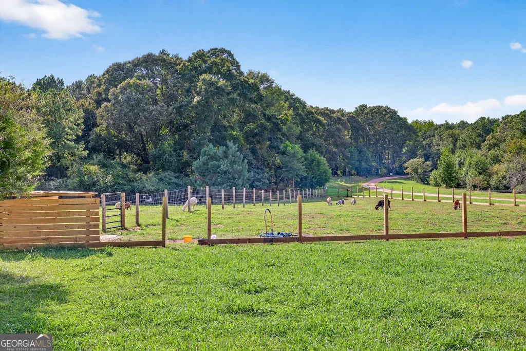 Bogart, Georgia, United States. - Photo 44