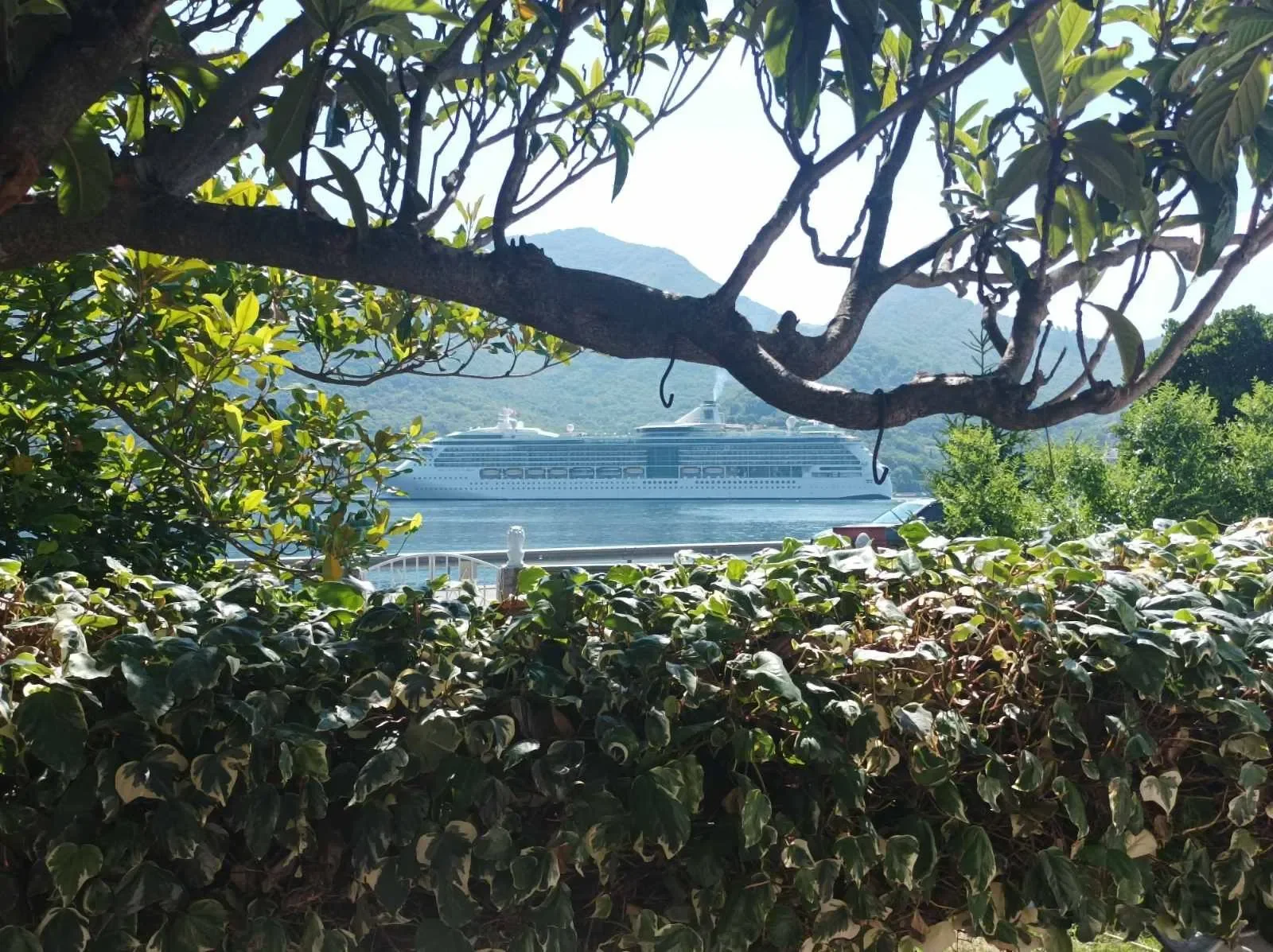 Herceg-Novi, Opatovo, Herceg Novi Municipality, Montenegro. - Photo 7