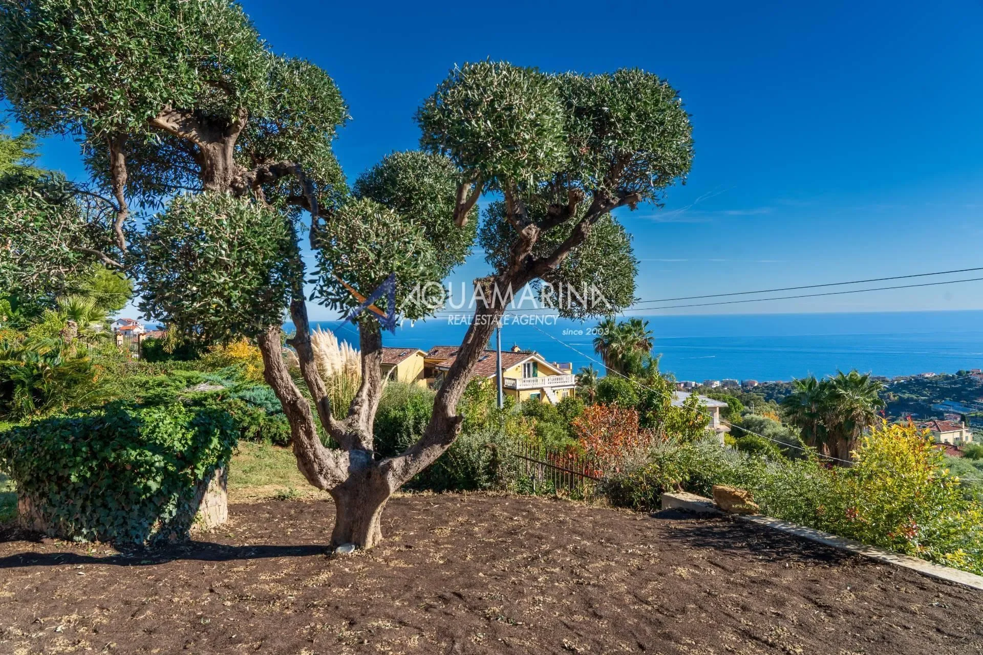 Sanremo Villa with Pool and Sea View