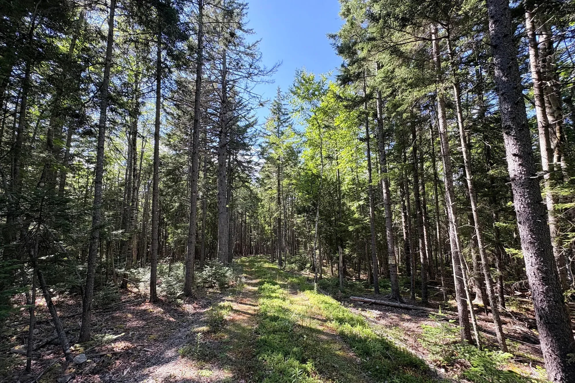 Periwinkle Lane, Brooklin, ME 04616, Brooklin, Maine, United States. - Photo 2