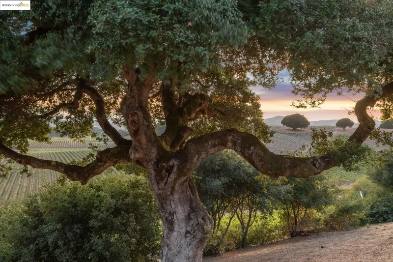1531 Foster Rd, Napa, California, United States. - Photo 50