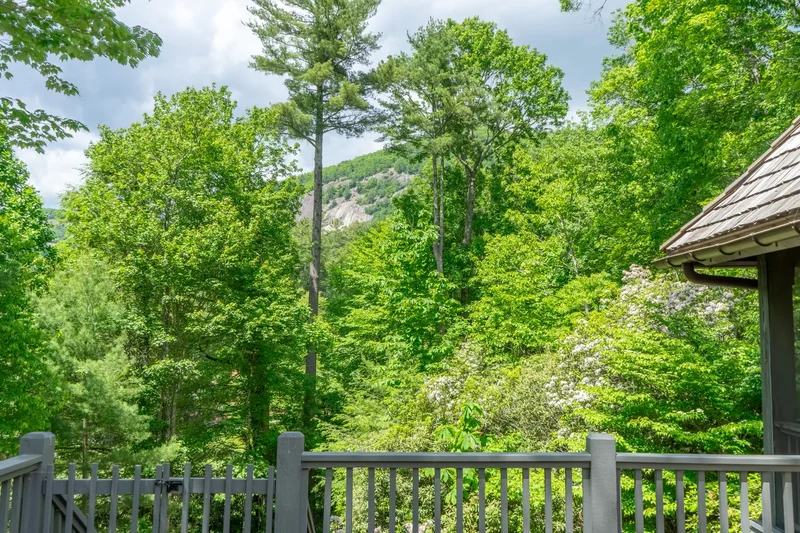 78 Whisper Fade Road, Cashiers, NC 28717, Highlands, North Carolina, United States. - Photo 10