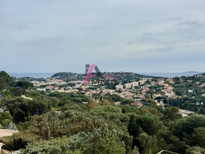 Thumbnail 25