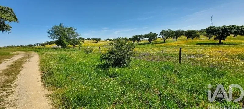 Ourique, Ourique, Beja, Ourique, Ourique, Beja District, Portugal. - Photo 34