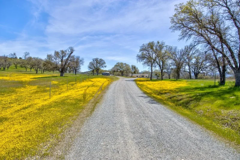 46400 San Antonio Valley, Livermore, California, United States. - Photo 30