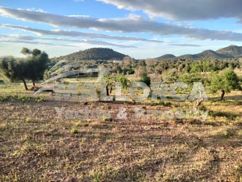 07200 Felanitx, Balearic Islands, Spain, Felanitx, Balearic Islands, Spain. - Photo 20