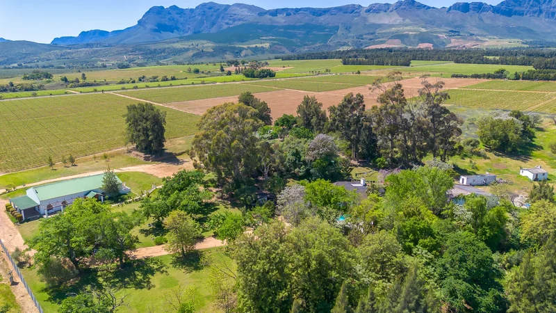 Paarl, Western Cape, South Africa. - Photo 19