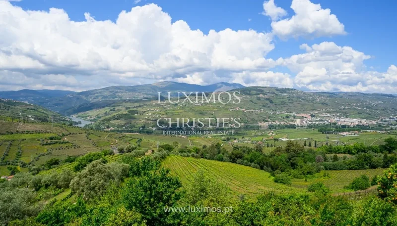 Cambres, VISEU, Almacave, Viseu District, Portugal. - Photo 25