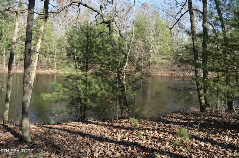 Sparta Hwy 63.3 Acres, Crossville, TN 38555, Crossville, Tennessee, United States. - Photo 15