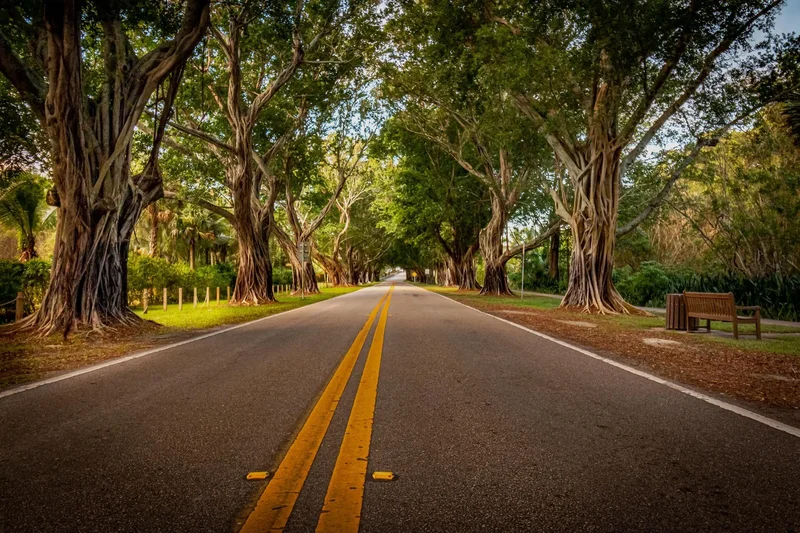 12165 SE Nassau Street, Hobe Sound, FL, 33455, USA, Hobe Sound, Florida, United States. - Photo 29