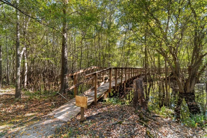 881 Rowe Pond Rd., Conway, SC 29526, Conway, South Carolina, United States. - Photo 30