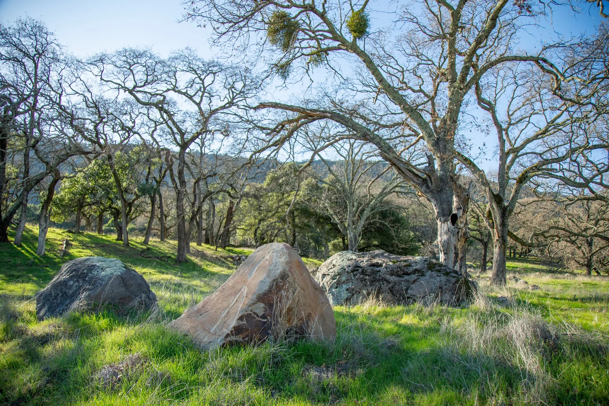 3576 Monticello Road , Napa, CA 94558, Napa, California, United States. - Photo 16