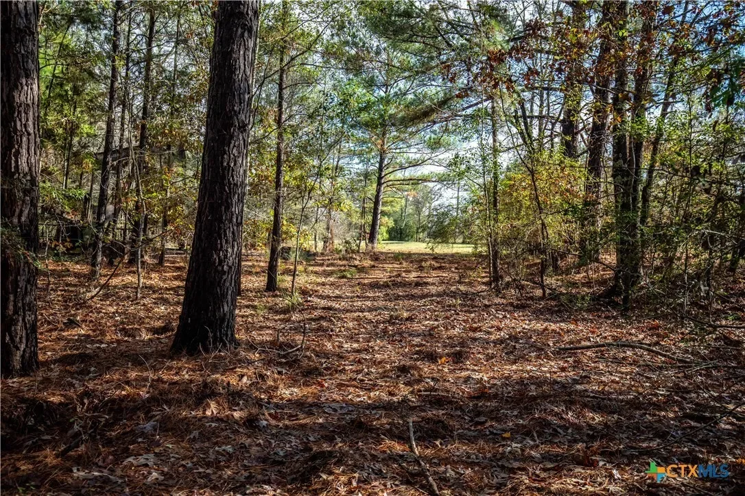 474 Pr 4311, White Oak, TX 75693, Longview, Texas, United States. - Photo 35