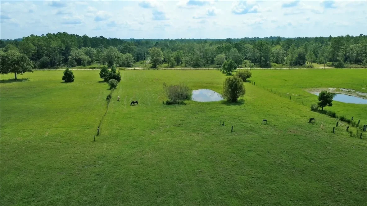 91 Cane Circle, Nahunta, GA 31553, Nahunta, Georgia, United States. - Photo 10