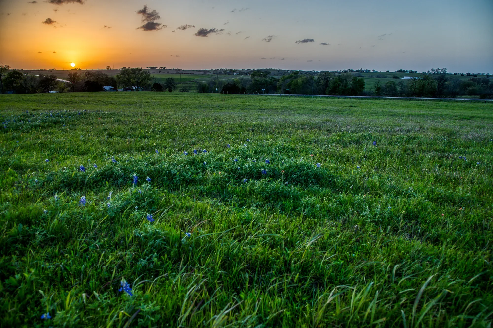 20383 State Highway 159 W , New Ulm, TX 78950-5011, New Ulm, Texas, United States. - Photo 2