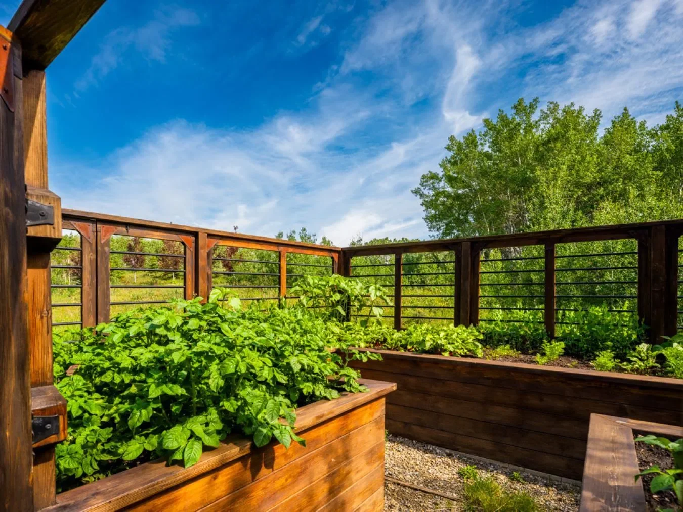 13 Silverhorn Vale, Rocky View County, Alberta, Canada. - Photo 20