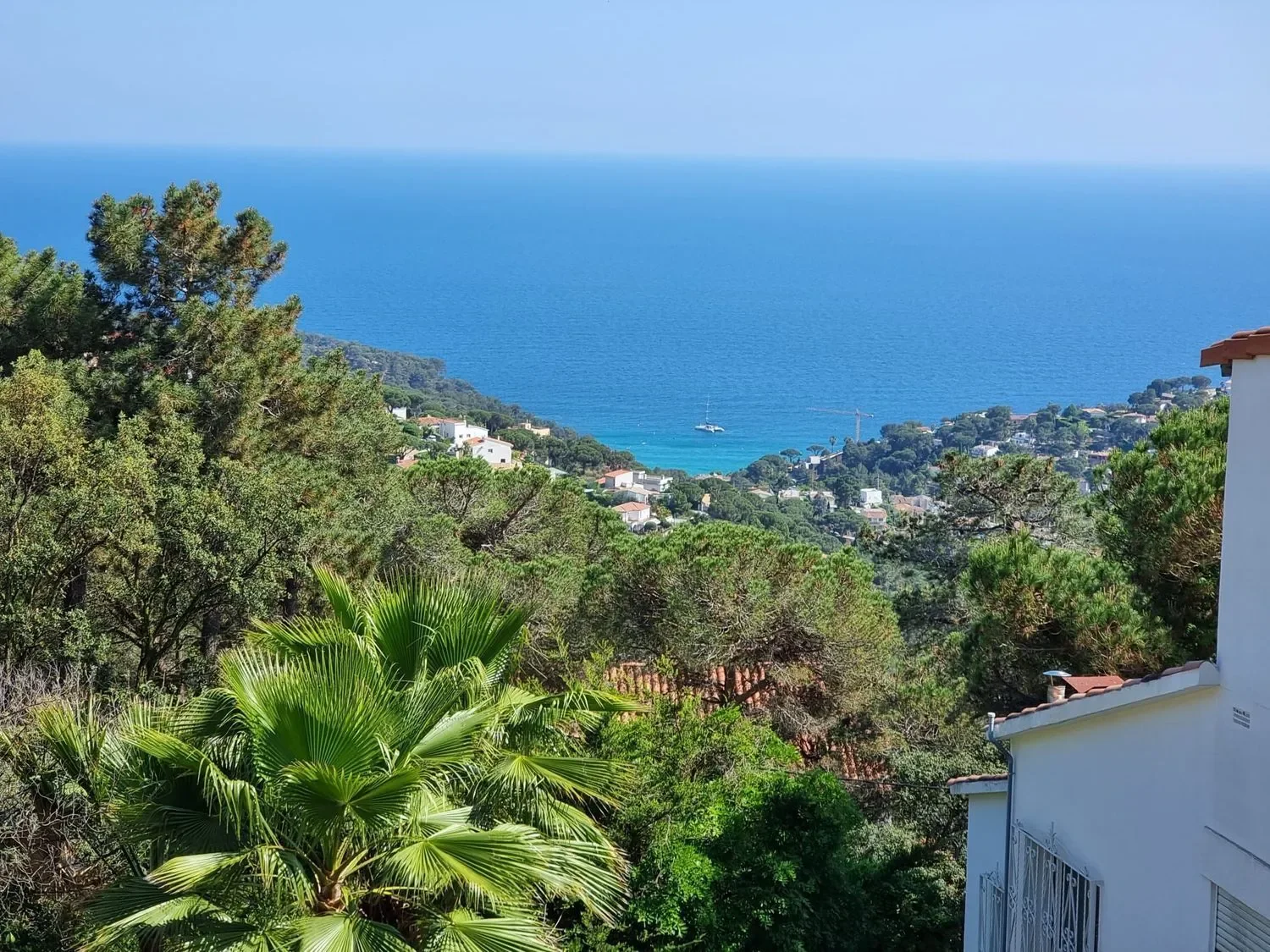 Serra Brava, Lloret de Mar, GIRONA, Lloret de Mar, Lloret de Mar, Catalonia, Spain. - Photo 35