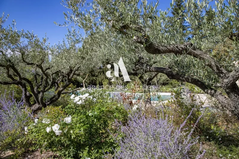 Eygalières, Provence-Alpes-Côte d'Azur, France. - Photo 15