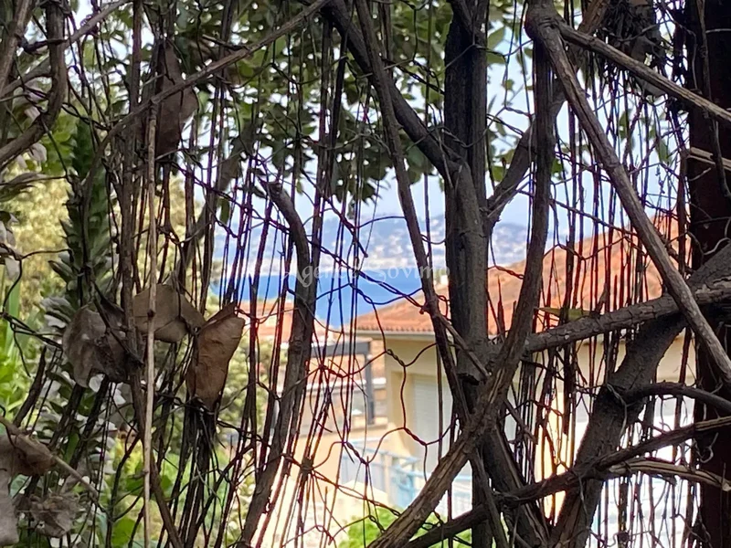 Théoule-sur-Mer, Provence-Alpes-Côte d'Azur, France. - Photo 3