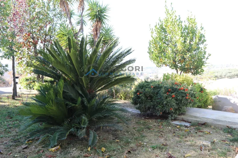 Via Dell'Agricoltura snc, Abruzzo, Italy. - Photo 24