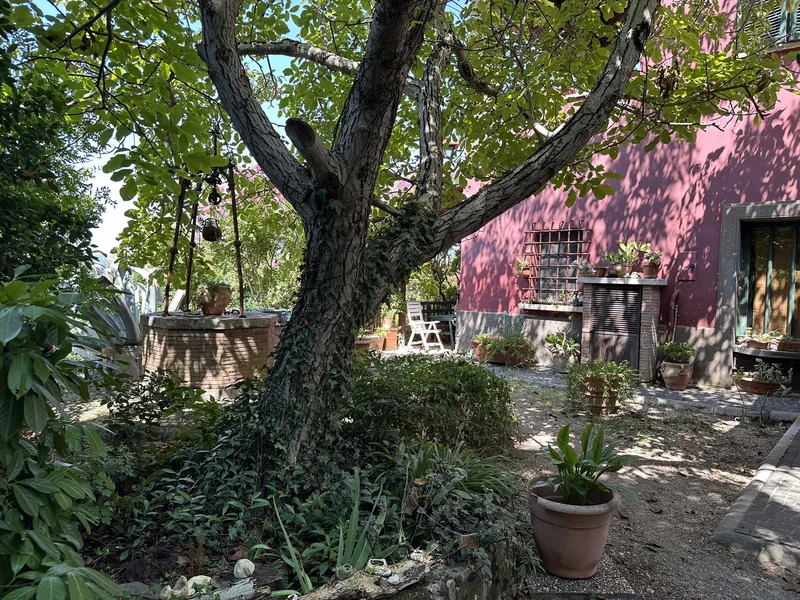 03030 Broccostella, Province of Frosinone, Italy, Broccostella, Lazio, Italy. - Photo 16