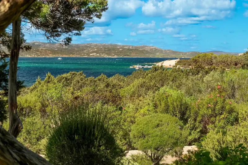 Sardinia, Italy, Sardinia, Italy. - Photo 31