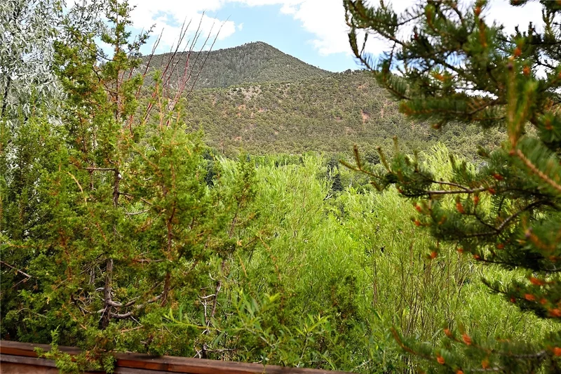1678 & 1682 Cerro Gordo Road, Santa Fe, NM 87501, Santa Fe, New Mexico, United States. - Photo 43