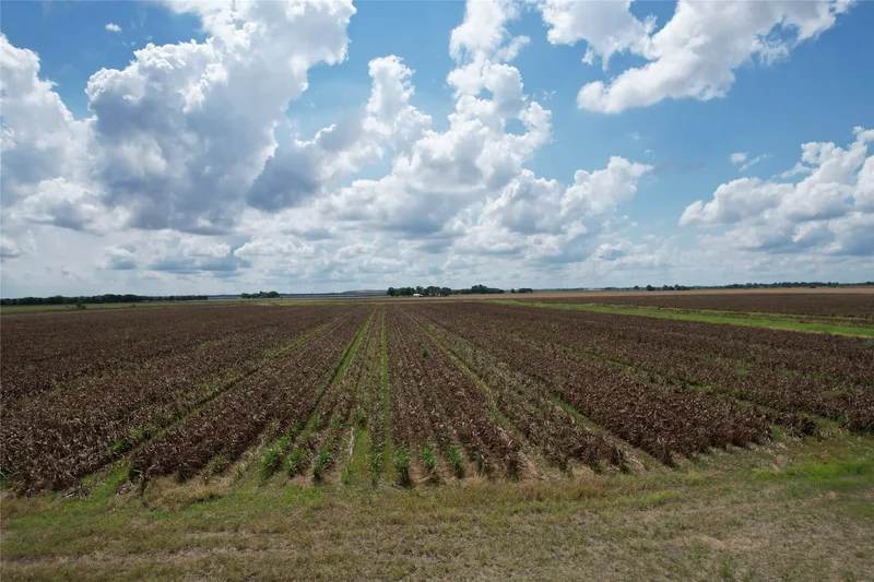 TBD FM 361 Road, Richmond, TX 77469, Rosenberg, Texas, United States. - Photo 16