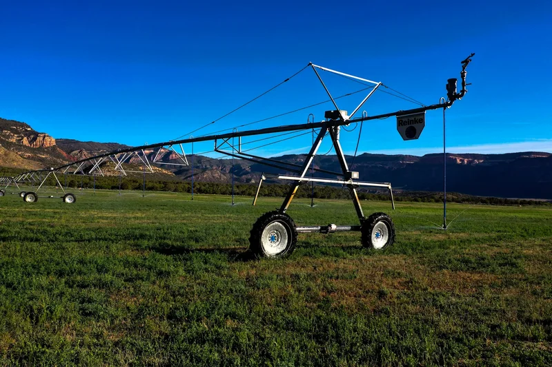 Sinbad Ranch , Gateway, CO 81522, Gateway, Colorado, United States. - Photo 31