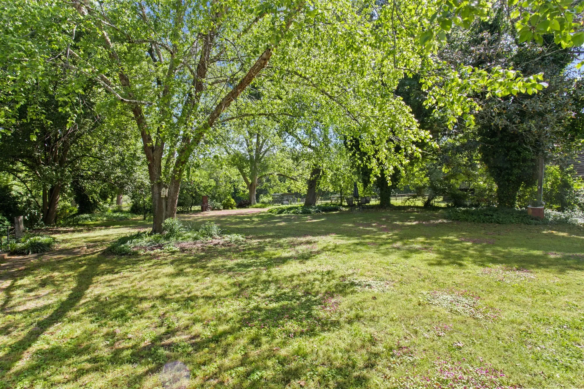 8660A South Carolina 395 , Newberry, SC 29108, Newberry, South Carolina, United States. - Photo 25