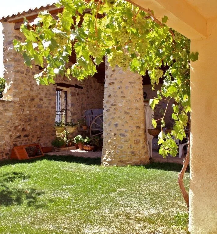 Gallery photo 10
