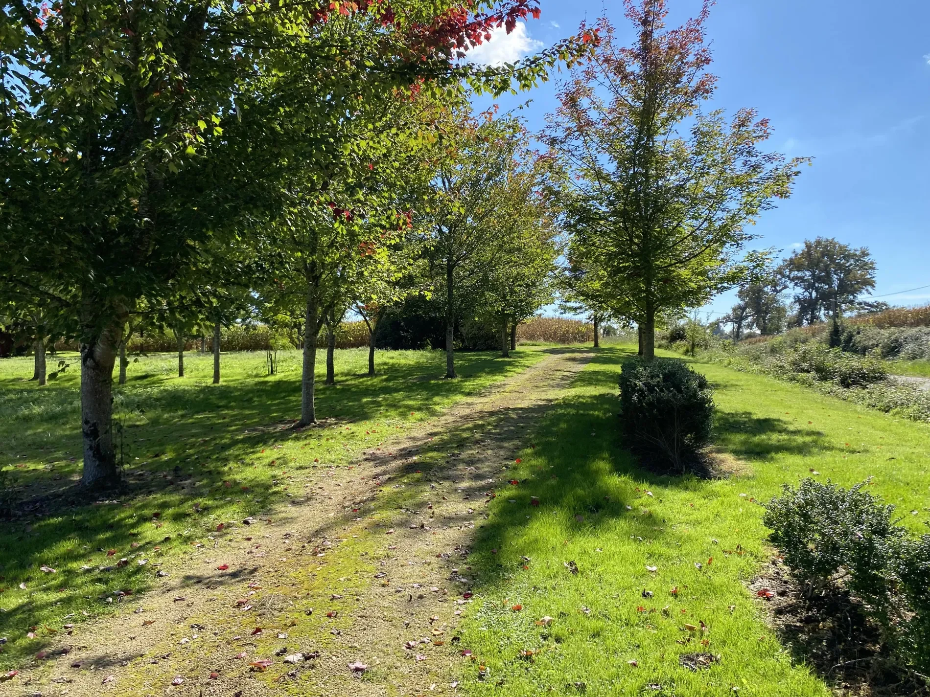 Cazaubon, Occitanie, France. - Photo 8