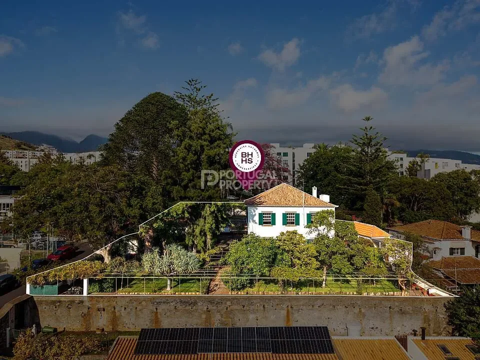 Funchal, Madeira, Funchal, Se, Madeira, Portugal. - Photo 8